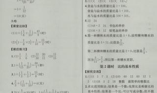 数学课时训练答案 数学课时训练答案
